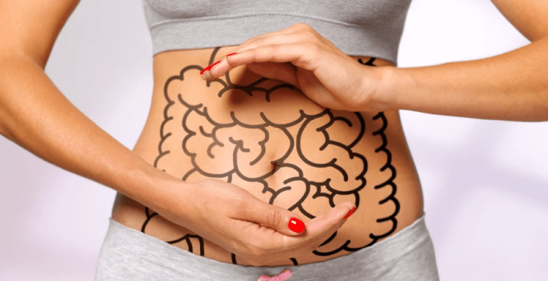 Disbiose intestinal: o que é e como pode afetar o organismo